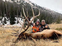 guided elk hunts, wyoming elk hunts, guided wyoming hunts, elk hunting wyoming, bull elk hunts, cow elk hunts, guided bull elk hunts, cody wy