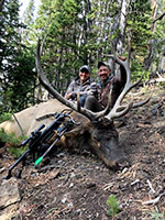 guided elk hunts, wyoming elk hunts, guided wyoming hunts, elk hunting wyoming, bull elk hunts, cow elk hunts, guided bull elk hunts, cody wy