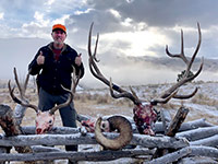 guided elk hunts, wyoming elk hunts, guided wyoming hunts, elk hunting wyoming, bull elk hunts, cow elk hunts, guided bull elk hunts, cody wy