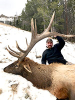 guided elk hunts, wyoming elk hunts, guided wyoming hunts, elk hunting wyoming, bull elk hunts, cow elk hunts, guided bull elk hunts, cody wy