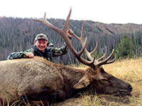 guided elk hunts, wyoming elk hunts, guided wyoming hunts, elk hunting wyoming, bull elk hunts, cow elk hunts, guided bull elk hunts, cody wy