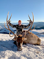 guided elk hunts, wyoming elk hunts, guided wyoming hunts, elk hunting wyoming, bull elk hunts, cow elk hunts, guided bull elk hunts, cody wy