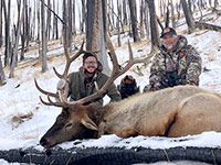 guided elk hunts, wyoming elk hunts, guided wyoming hunts, elk hunting wyoming, bull elk hunts, cow elk hunts, guided bull elk hunts, cody wy