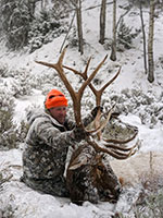 guided elk hunts, wyoming elk hunts, guided wyoming hunts, elk hunting wyoming, bull elk hunts, cow elk hunts, guided bull elk hunts, cody wy