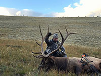 guided elk hunts, wyoming elk hunts, guided wyoming hunts, elk hunting wyoming, bull elk hunts, cow elk hunts, guided bull elk hunts, cody wy