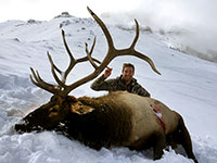 guided elk hunts, wyoming elk hunts, guided wyoming hunts, elk hunting wyoming, bull elk hunts, cow elk hunts, guided bull elk hunts, cody wy