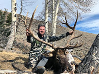 guided elk hunts, wyoming elk hunts, guided wyoming hunts, elk hunting wyoming, bull elk hunts, cow elk hunts, guided bull elk hunts, cody wy