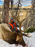 guided elk hunts, wyoming elk hunts, guided wyoming hunts, elk hunting wyoming, bull elk hunts, cow elk hunts, guided bull elk hunts, cody wy