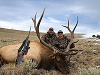 guided elk hunts, wyoming elk hunts, guided wyoming hunts, elk hunting wyoming, bull elk hunts, cow elk hunts, guided bull elk hunts, cody wy