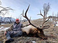 guided elk hunts, wyoming elk hunts, guided wyoming hunts, elk hunting wyoming, bull elk hunts, cow elk hunts, guided bull elk hunts, cody wy