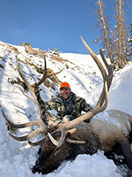 guided elk hunts, wyoming elk hunts, guided wyoming hunts, elk hunting wyoming, bull elk hunts, cow elk hunts, guided bull elk hunts, cody wy