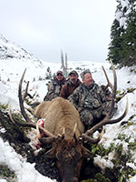 guided elk hunts, wyoming elk hunts, guided wyoming hunts, elk hunting wyoming, bull elk hunts, cow elk hunts, guided bull elk hunts, cody wy