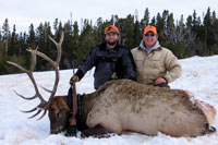 guided elk hunts, wyoming elk hunts, guided wyoming hunts, elk hunting wyoming, bull elk hunts, cow elk hunts, guided bull elk hunts, cody wy