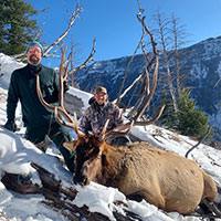 guided elk hunts, wyoming elk hunts, guided wyoming hunts, elk hunting wyoming, bull elk hunts, cow elk hunts, guided bull elk hunts, cody wy