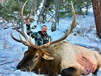 guided elk hunts, wyoming elk hunts, guided wyoming hunts, elk hunting wyoming, bull elk hunts, cow elk hunts, guided bull elk hunts, cody wy