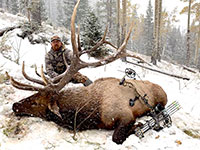 guided elk hunts, wyoming elk hunts, guided wyoming hunts, elk hunting wyoming, bull elk hunts, cow elk hunts, guided bull elk hunts, cody wy