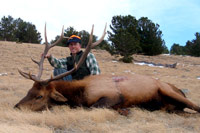 guided elk hunts, wyoming elk hunts, guided wyoming hunts, elk hunting wyoming, bull elk hunts, cow elk hunts, guided bull elk hunts, cody wy