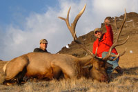 guided elk hunts, wyoming elk hunts, guided wyoming hunts, elk hunting wyoming, bull elk hunts, cow elk hunts, guided bull elk hunts, cody wy