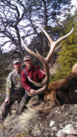 guided elk hunts, wyoming elk hunts, guided wyoming hunts, elk hunting wyoming, bull elk hunts, cow elk hunts, guided bull elk hunts, cody wy