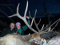 guided elk hunts, wyoming elk hunts, guided wyoming hunts, elk hunting wyoming, bull elk hunts, cow elk hunts, guided bull elk hunts, cody wy