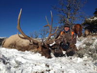 guided elk hunts, wyoming elk hunts, guided wyoming hunts, elk hunting wyoming, bull elk hunts, cow elk hunts, guided bull elk hunts, cody wy