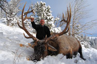 guided elk hunts, wyoming elk hunts, guided wyoming hunts, elk hunting wyoming, bull elk hunts, cow elk hunts, guided bull elk hunts, cody wy