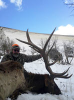 guided elk hunts, wyoming elk hunts, guided wyoming hunts, elk hunting wyoming, bull elk hunts, cow elk hunts, guided bull elk hunts, cody wy