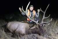 guided elk hunts, wyoming elk hunts, guided wyoming hunts, elk hunting wyoming, bull elk hunts, cow elk hunts, guided bull elk hunts, cody wy