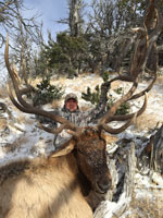 guided elk hunts, wyoming elk hunts, guided wyoming hunts, elk hunting wyoming, bull elk hunts, cow elk hunts, guided bull elk hunts, cody wy