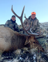 guided elk hunts, wyoming elk hunts, guided wyoming hunts, elk hunting wyoming, bull elk hunts, cow elk hunts, guided bull elk hunts, cody wy