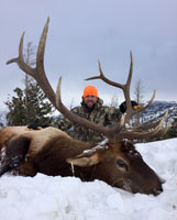 guided elk hunts, wyoming elk hunts, guided wyoming hunts, elk hunting wyoming, bull elk hunts, cow elk hunts, guided bull elk hunts, cody wy