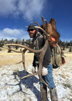 guided elk hunts, wyoming elk hunts, guided wyoming hunts, elk hunting wyoming, bull elk hunts, cow elk hunts, guided bull elk hunts, cody wy