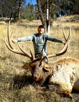 guided elk hunts, wyoming elk hunts, guided wyoming hunts, elk hunting wyoming, bull elk hunts, cow elk hunts, guided bull elk hunts, cody wy