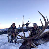 guided elk hunts, wyoming elk hunts, guided wyoming hunts, elk hunting wyoming, bull elk hunts, cow elk hunts, guided bull elk hunts, cody wy