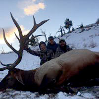 guided elk hunts, wyoming elk hunts, guided wyoming hunts, elk hunting wyoming, bull elk hunts, cow elk hunts, guided bull elk hunts, cody wy