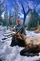 guided elk hunts, wyoming elk hunts, guided wyoming hunts, elk hunting wyoming, bull elk hunts, cow elk hunts, guided bull elk hunts, cody wy