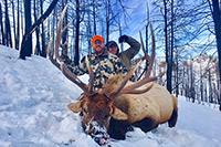 guided elk hunts, wyoming elk hunts, guided wyoming hunts, elk hunting wyoming, bull elk hunts, cow elk hunts, guided bull elk hunts, cody wy