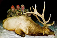 guided elk hunts, wyoming elk hunts, guided wyoming hunts, elk hunting wyoming, bull elk hunts, cow elk hunts, guided bull elk hunts, cody wy