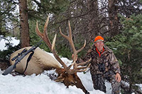 guided elk hunts, wyoming elk hunts, guided wyoming hunts, elk hunting wyoming, bull elk hunts, cow elk hunts, guided bull elk hunts, cody wy