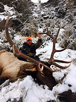 guided elk hunts, wyoming elk hunts, guided wyoming hunts, elk hunting wyoming, bull elk hunts, cow elk hunts, guided bull elk hunts, cody wy