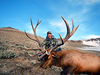 guided elk hunts, wyoming elk hunts, guided wyoming hunts, elk hunting wyoming, bull elk hunts, cow elk hunts, guided bull elk hunts, cody wy