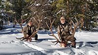 guided elk hunts, wyoming elk hunts, guided wyoming hunts, elk hunting wyoming, bull elk hunts, cow elk hunts, guided bull elk hunts, cody wy