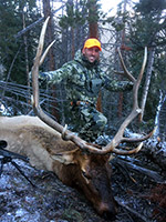 guided elk hunts, wyoming elk hunts, guided wyoming hunts, elk hunting wyoming, bull elk hunts, cow elk hunts, guided bull elk hunts, cody wy