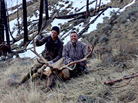 guided elk hunts, wyoming elk hunts, guided wyoming hunts, elk hunting wyoming, bull elk hunts, cow elk hunts, guided bull elk hunts, cody wy