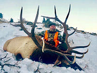 guided elk hunts, wyoming elk hunts, guided wyoming hunts, elk hunting wyoming, bull elk hunts, cow elk hunts, guided bull elk hunts, cody wy