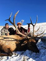 guided elk hunts, wyoming elk hunts, guided wyoming hunts, elk hunting wyoming, bull elk hunts, cow elk hunts, guided bull elk hunts, cody wy