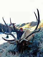 guided elk hunts, wyoming elk hunts, guided wyoming hunts, elk hunting wyoming, bull elk hunts, cow elk hunts, guided bull elk hunts, cody wy