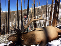 guided elk hunts, wyoming elk hunts, guided wyoming hunts, elk hunting wyoming, bull elk hunts, cow elk hunts, guided bull elk hunts, cody wy