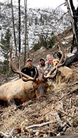 guided elk hunts, wyoming elk hunts, guided wyoming hunts, elk hunting wyoming, bull elk hunts, cow elk hunts, guided bull elk hunts, cody wy