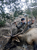 guided elk hunts, wyoming elk hunts, guided wyoming hunts, elk hunting wyoming, bull elk hunts, cow elk hunts, guided bull elk hunts, cody wy